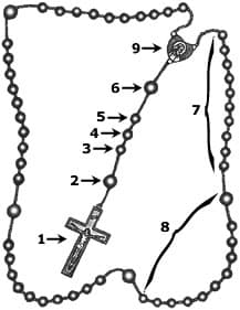 Rosary-bead diagram with numbered arrows showing where to pray steps 1 through 9 of the Divine Mercy Chaplet.
